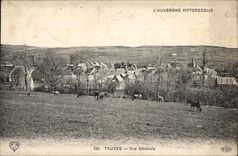 CPA Tauves View Cows