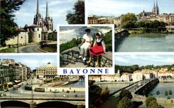 CPSM Bayonne Old Castle and Cathedral Adour and the Cathedral