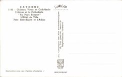 CPSM Bayonne Old Castle and Cathedral Adour and the Cathedral