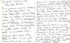 CPA Fantasy Flowers Happy New Year