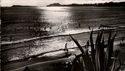CPA Dimensions Azure Bandol Plage of the Lido in the twilight