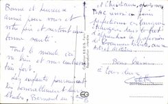 CPA Fantaisie Bonne Annee