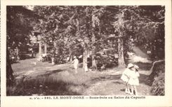 CPA the Mount Gilds Under Wood With the Living room Of the Capuchin