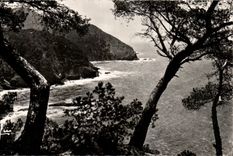 CPA Cote d'Azur Le Cap Sicie