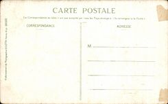 CPA Nice Allee De Palm trees Walk Of the Old Castle