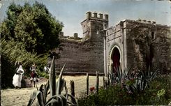 CPSM Morocco Folds back the Gate interior of Chellah