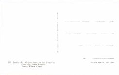 CPA Sevilla FL Alcazares Patio of Mow Doncellas Courdes Jenues Women