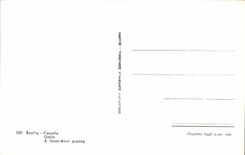 CPA Sevilla Cancela Roasts