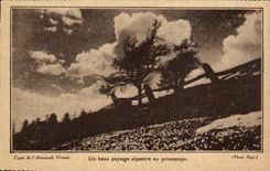 CPA un paisaje hermoso alpestre en resorte