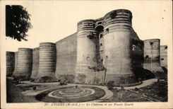 CPA Angers the Castle and its Pits flowered
