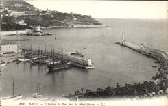 CPA Nice L'Entree du Port pris du Mont Boron Bateaux