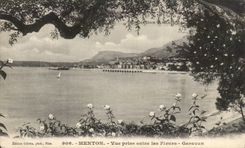 CPA Monton Seen from between the Garavan Flowers