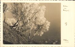 Paisaje de CPA en Austria