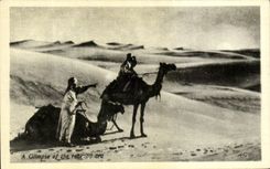 CPA A Gllmpse Of The Real Sahara Chameau Egypte