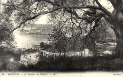 REPRO Menton Through the Olive-trees