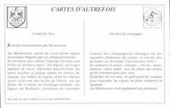 REPRO Menton Through the Olive-trees