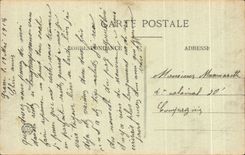 CPA graso visto entre de las palmeras del hotel grande