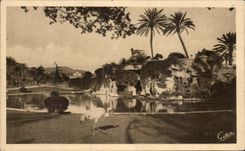 CPA Dimensions Artistic Azure Nice Jardin Albert the Cave