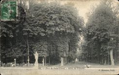 CPA Avoids Cloud Allee Saint Happiness