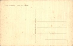 CPA Strasbourg Baths With the Plants