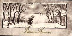 CPA Fantaisie Bonne Heureuse Annee