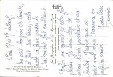 CPSM With the Country Of the Mount Blanc Mountain Needle of the South and Mount Blanc Fieurs de Rhododendrons