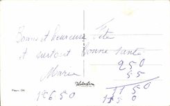 La fantasia de CPA florece rosas