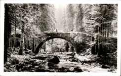 CPA Surroundings Of Hohneck the Bridge of the Fairies