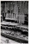 PHOTOGRAPH Italy Florence 1955 Jewels