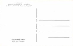 Flores MODERNAS de la TARJETA de las montan@as Vloo Currivand