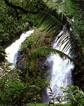 CPSM Double Toilets falls At Faaone Double Cascades of Distrit de Faaone Tahiti