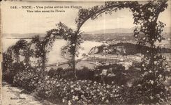 Niza de CPA vista entre de las flores