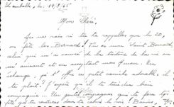 Pato del caniche de Chein del festival de los ninos de CPSM buen