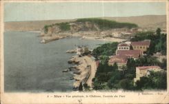 CPA Nice Vue Generale le Chateau l'Entree du Port