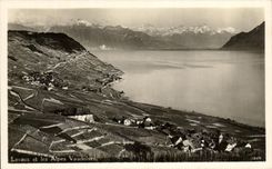 CPA Lavaux et les Alpes Vaudoises