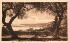 CPA Menton View Taken Through Oilviers