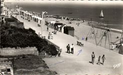 Cuadro total de Mer del sur del leon de CPA de la playa