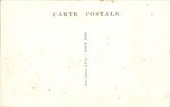 CPA Lourdes the Monument Salus Infirmorum Field of the Cave