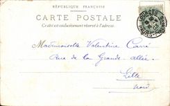 CPA Lourdes National Pilgrimage Procession of the TS Sacrement