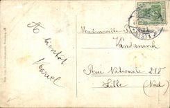 CPA Strasbourg Nest of Storks