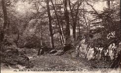 CPA Drill of Fontainebleau the Throat to the Wolves