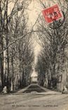 CPA Chantilly Le Chateau la Grande allee