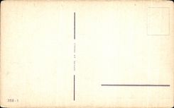 La fantasia de CPA florece rosas