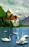CPSM Lac Leman Chateau de Chillon et dents du midi Cygnes 