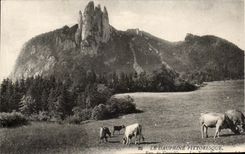 Dauphine CPA Picturesque Cows