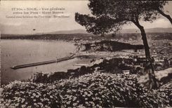 Opinion de CPA Niza entre el montaje del boro de los pinos