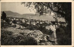 CPA Niza incorpora las flores y el folklore de los Aceituna-arboles