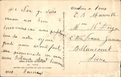 CPA Niza incorpora las flores y el folklore de los Aceituna-arboles