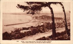 Niza de CPA vista entre de los pinos del montaje del boro