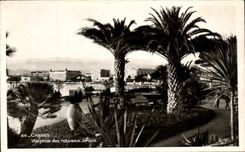 CPA Cannes Seen from of the New Gardens